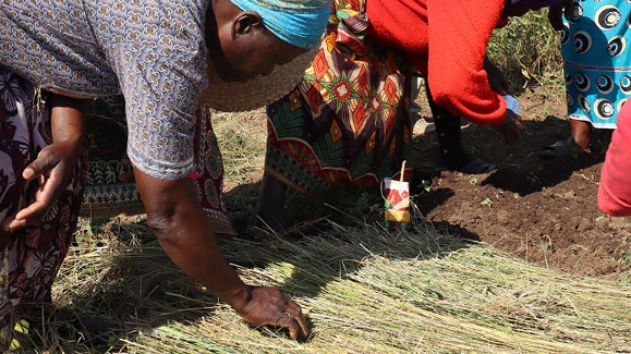 Young Heroes, WORTH programs, female caretakers, planting gardens, programs in action,